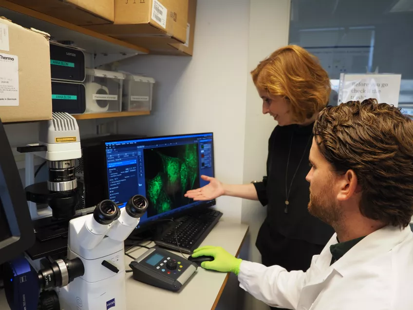 Two researchers by a microscope discussing images of cells