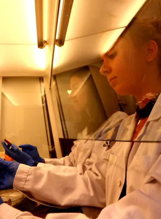 Two female researchers working in a sterile hood